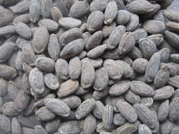 九大坚果助你成功减肥 健康零食的智慧选择