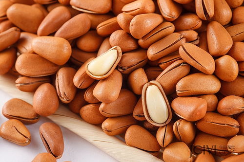 今彩视觉 专业年货坚果摄影，点亮淘宝食品拍摄新风尚