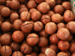 东莞市樟木头尚品药材干果行 传统与现代交融的养生新选择